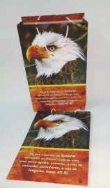 Sacola presente guia grande,cada 