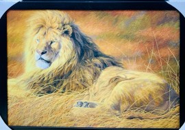 Quadro madeira MDF resinado leo deitado tamanho 50x70 cm