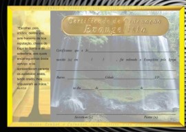 Certificado de Ordenao evangelista,cada