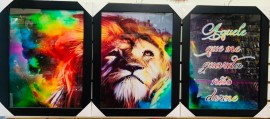Quadro trio de  madeira com moldura, com vidro ( Leo aurora boreal) 